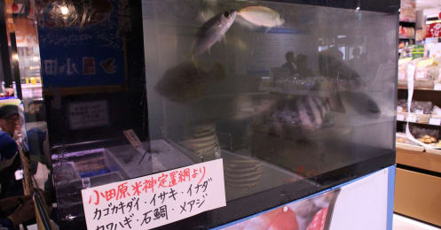 脱「箱根の通過点」 刺身食べ放題のテーマパークが小田原にできた理由