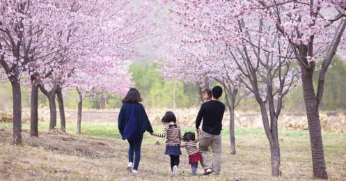 世帯年収手取り450万で子ども3人を大学に行かせ、住宅を購入するのは無謀？