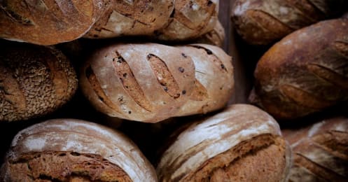 1500軒以上のパン店を巡った愛好家が選んだ！この冬お勧めのお取り寄せハードパン4選