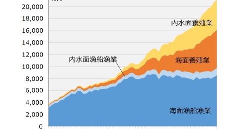 このままでは魚が食べられなくなる！？サステナブル漁業へ、取り組みの最先端を解説