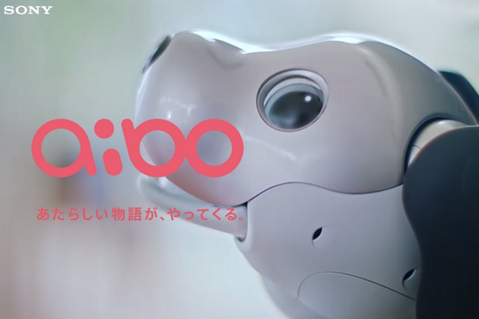 新型「aibo」はソニー完全復活の旗手となるか？ – MONEY PLUS