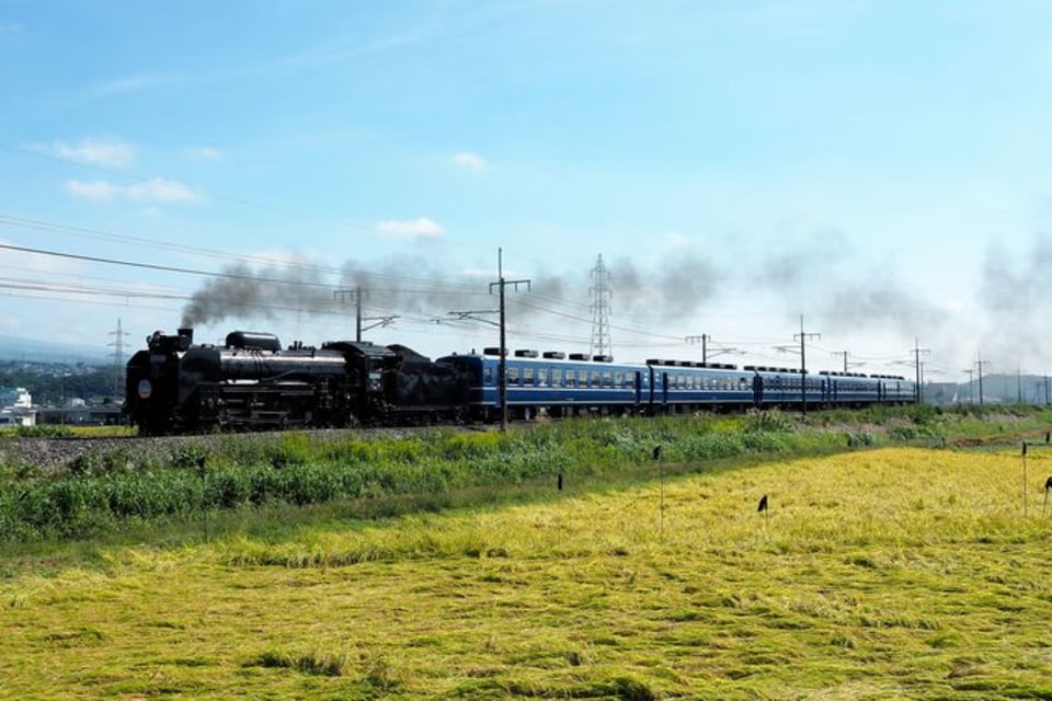 Jr普通列車が乗り降り自由の 青春18きっぷ の使い方とお得旅 Money Plus