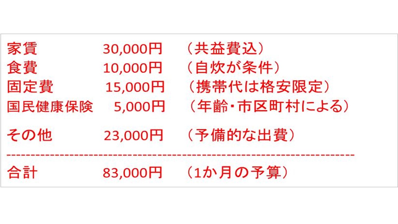 究極のコスト削減術 東京で 年収100万円 生活は可能 Money Plus