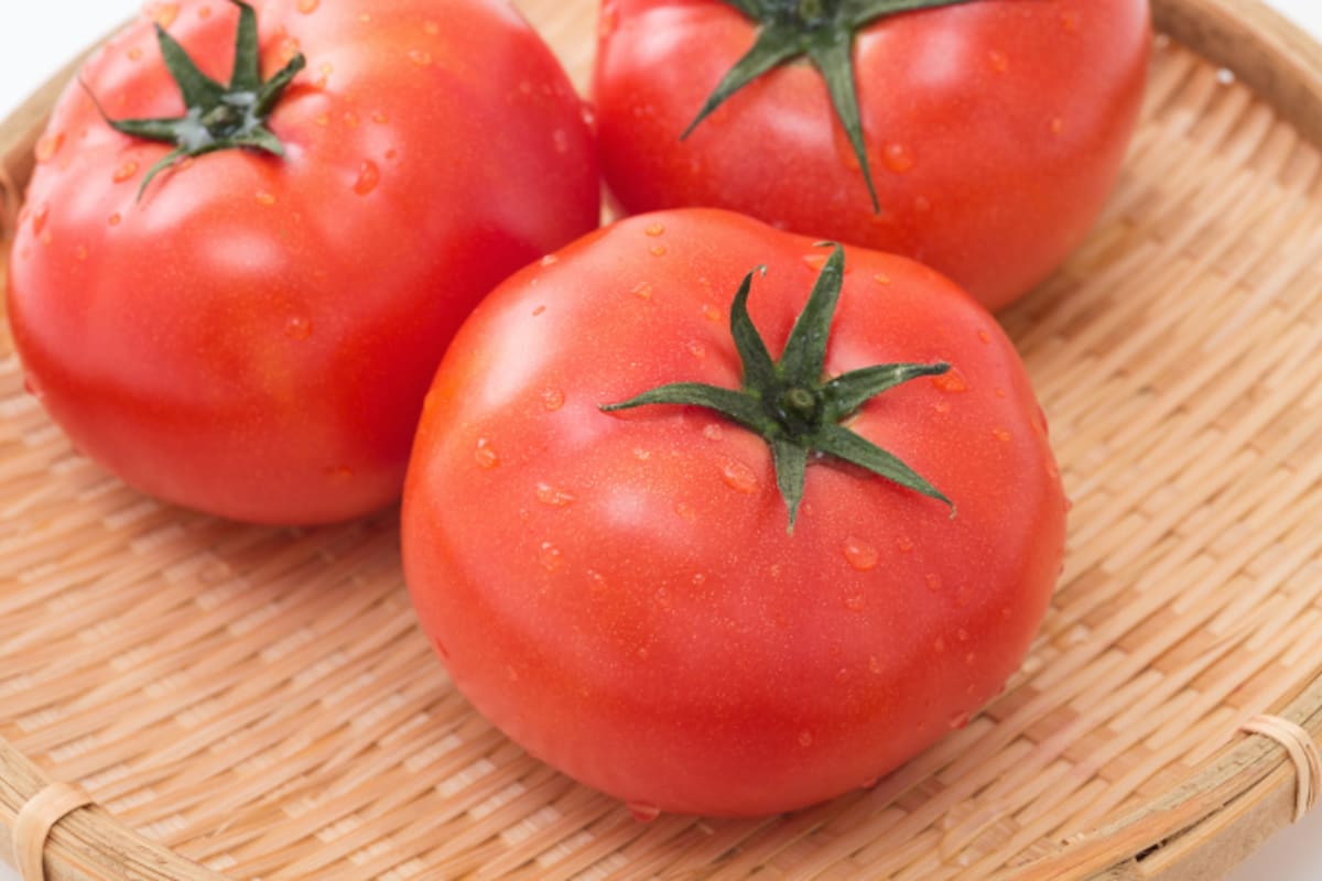 トマトの保存 ヘタは上と下どっちが正解 おいしいモノを選ぶ5つのコツ Money Plus