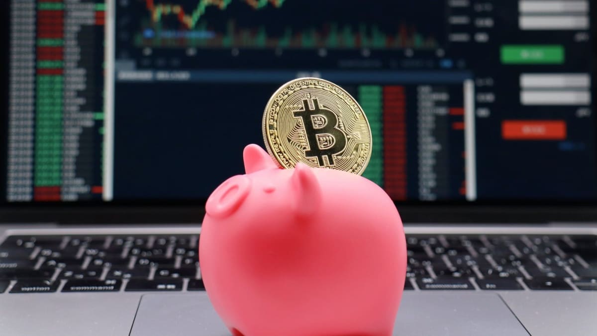 ビットコイン暴落に慌てるなかれ、値動きに振り回されない積立投資のススメ – MONEY PLUS