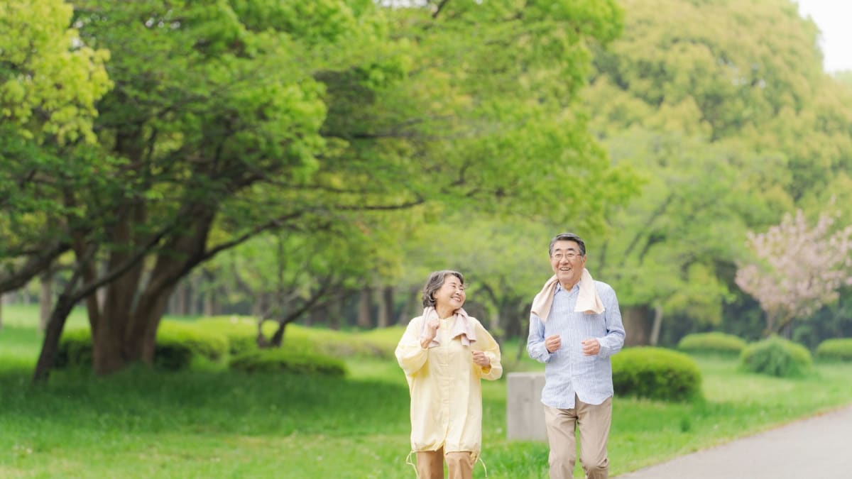 インディツェ・グルセミコ