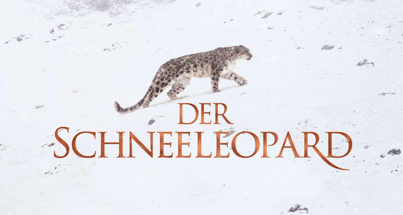 Der Schneeleopard