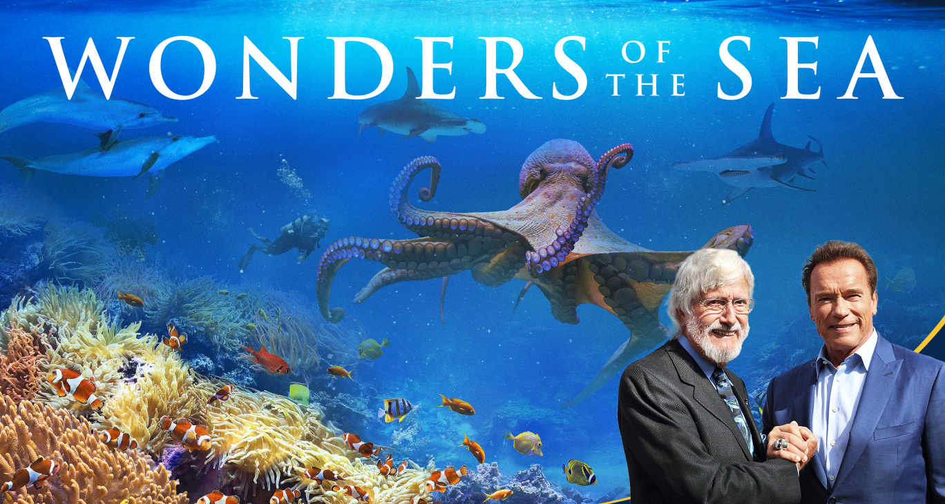 Wonders of the Sea