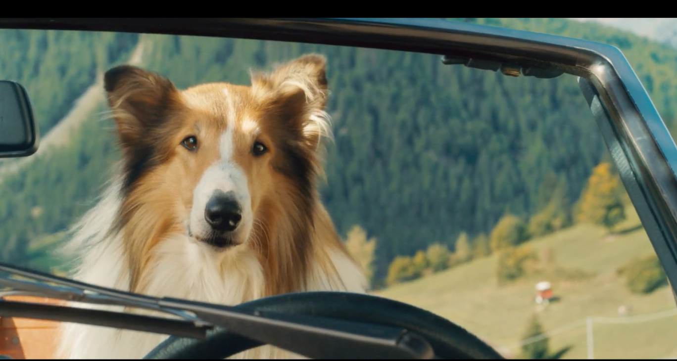 Lassie 2: Ein neues Abenteuer