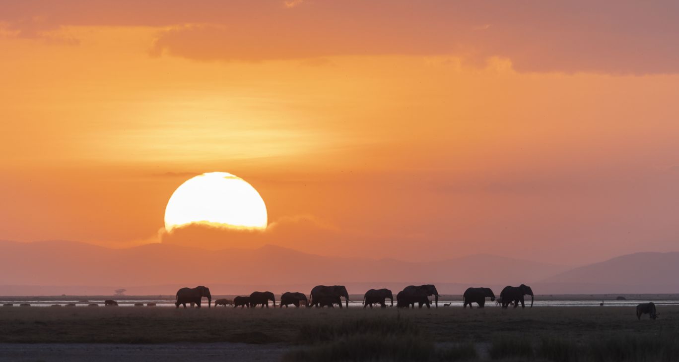 Sehnsucht Afrika Teil 2