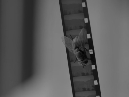 slide 26