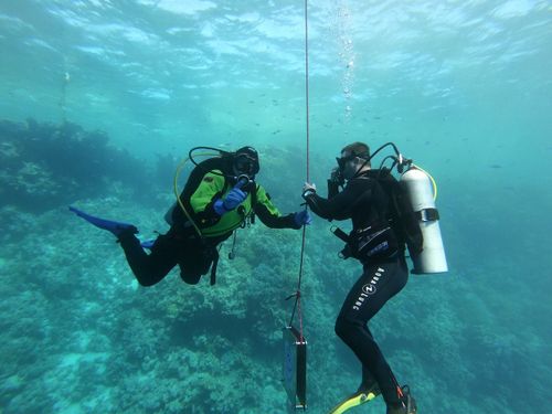 Open Water Diver w Pakiecie