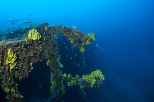 Decompression Diving w pakiecie
