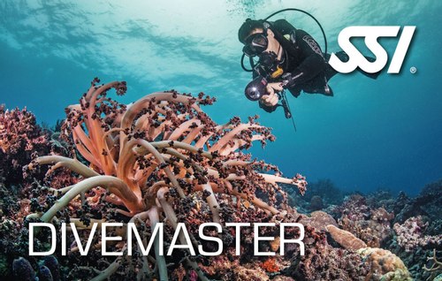 Divemaster w pakiecie