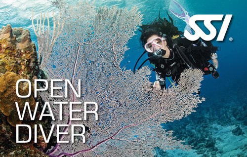 Open Water Diver w Pakiecie