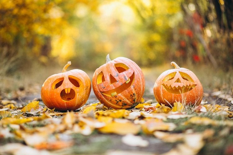 Nurkowanie Halloweenowe