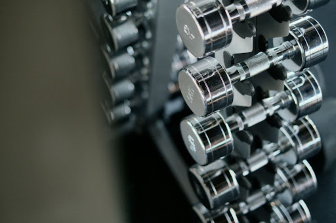A rack of dumbbells available for beginner dumbbell workouts in a gym.