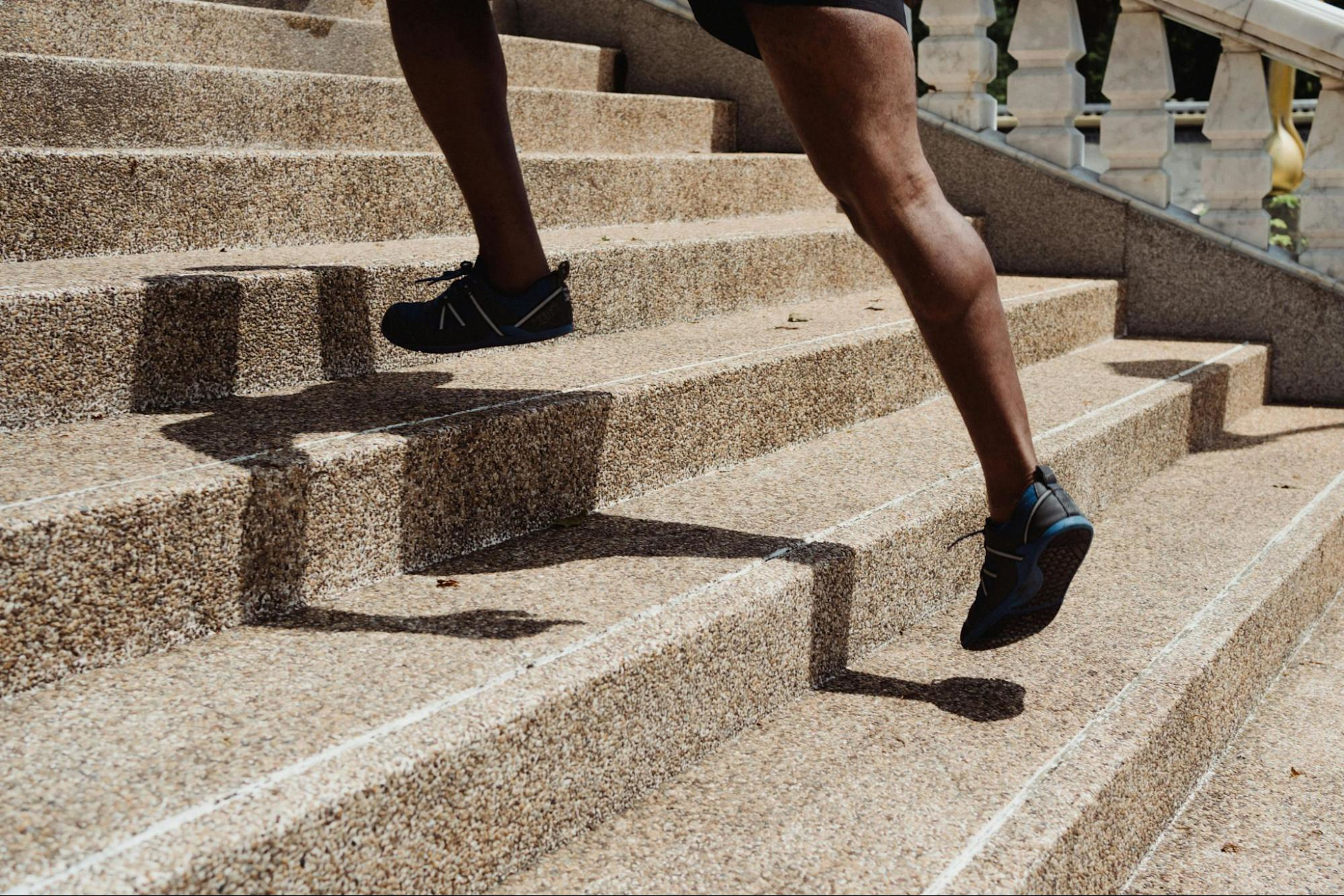 The 12 Best Types of Cardio Exercise to Keep You Motivated and Moving ...