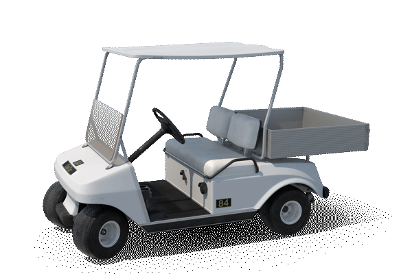 Festival Golf Kart Festival Golf Kart
