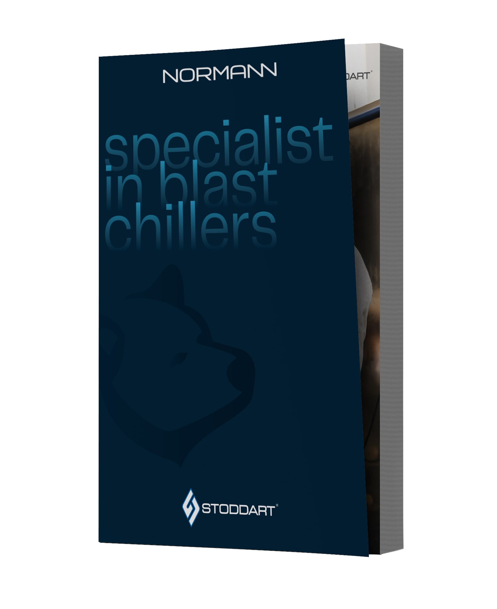 Normann_Website_Thumbnail