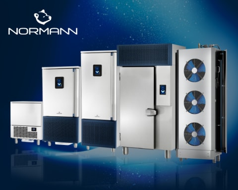 MM_Normann_Tile_Image
