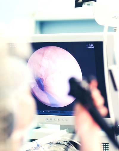 A person looks at a point-of-care image on a digital display. 