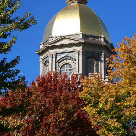 Rotunda at University of Notre Dame surrounded by autumn trees.