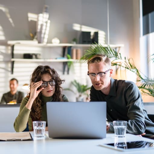 Two individuals looking at the laptop screen