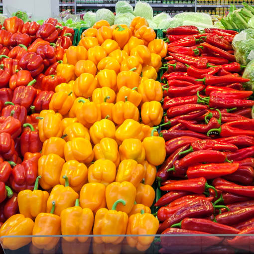 A colorful array of vegetables in a produce aisle of a grocery store