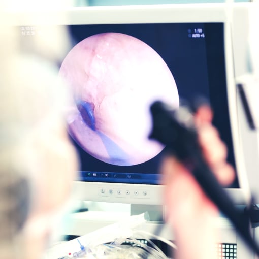 A person looks at a point-of-care image on a digital display. 