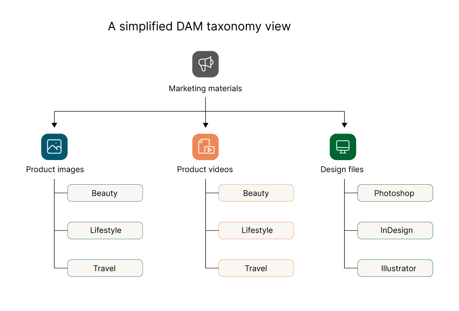 simplified dam taxonomy graph