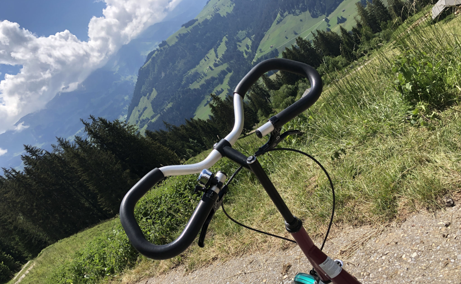 Abenteuerliche Trottifahrt auf der Vorderstockenalp