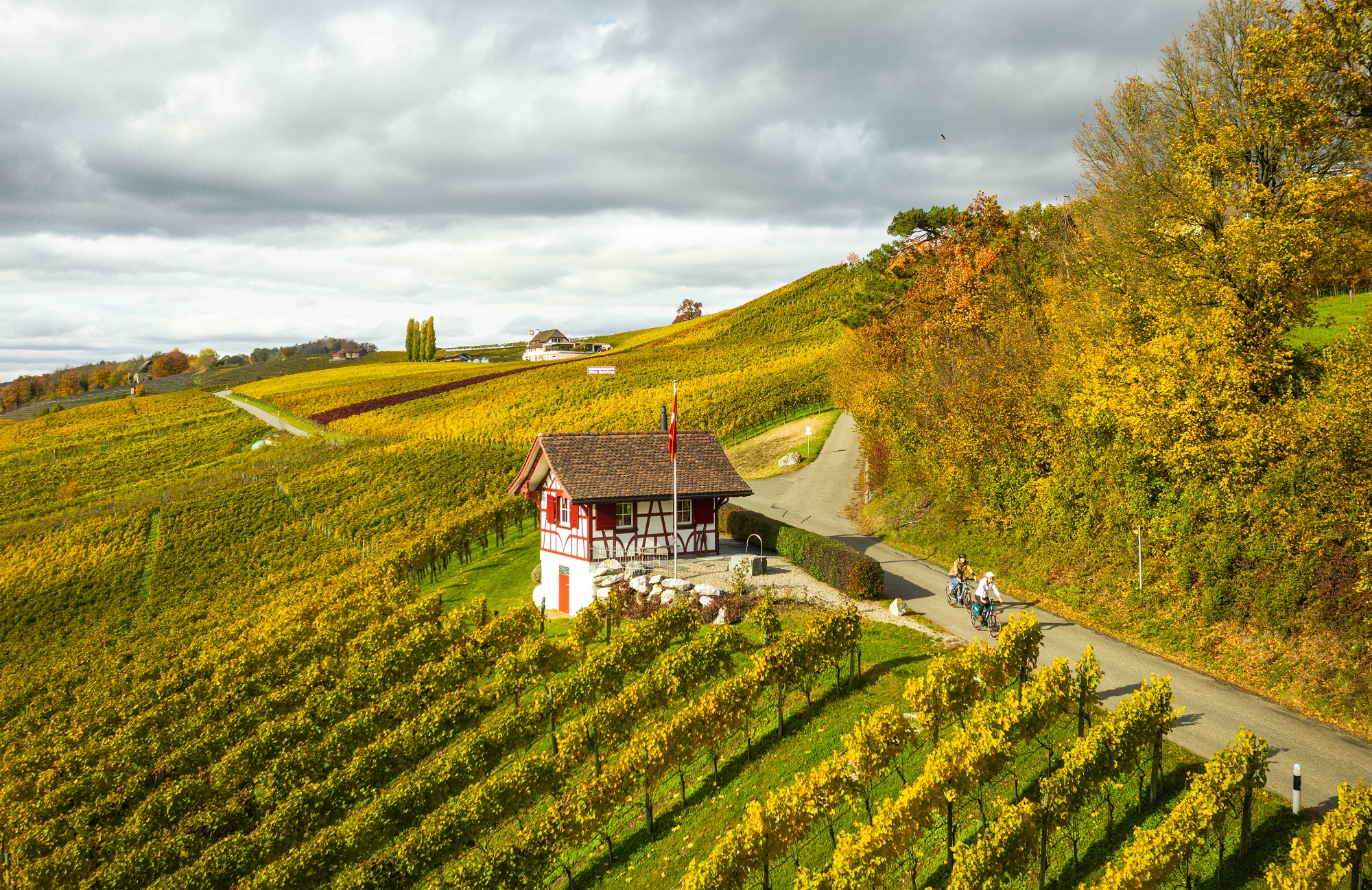 Entlang der Weinroute Ostschweiz radeln