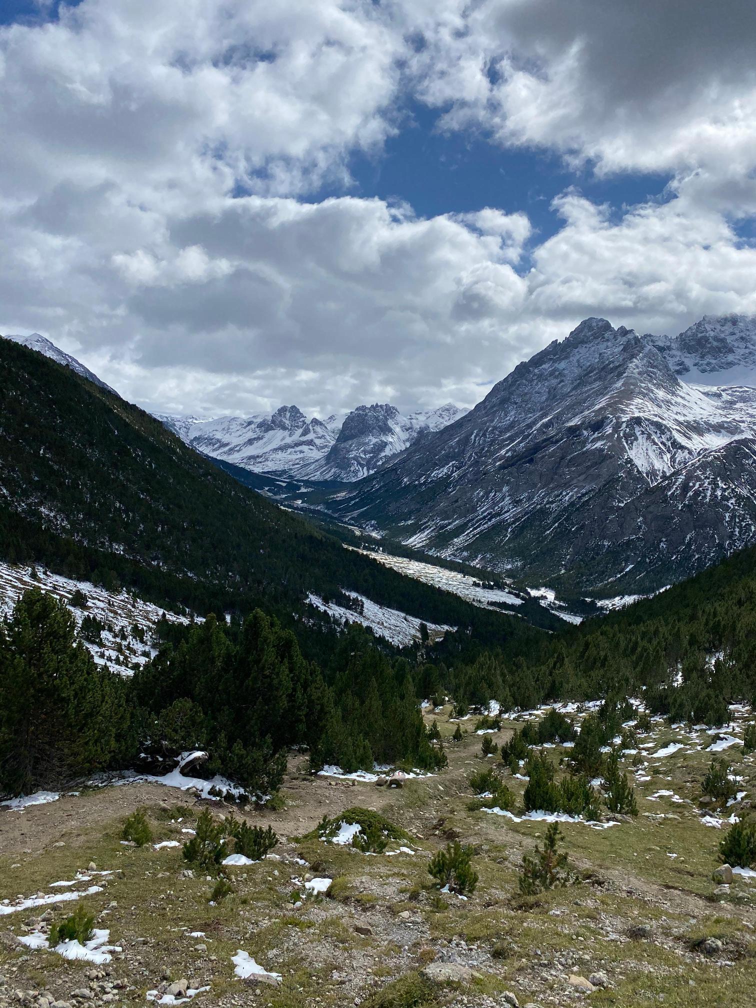 Wanderung von Val Mora nach Buffalora