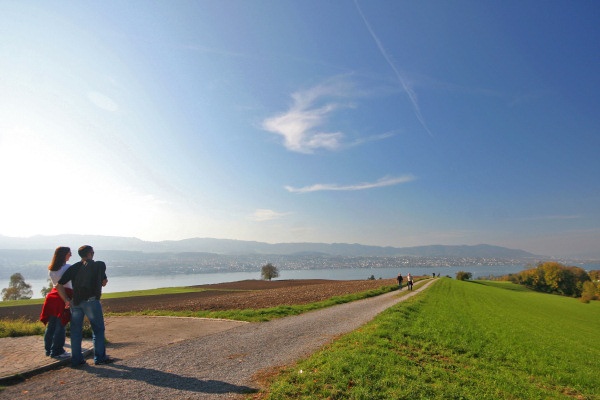 Meilen-Küsnacht Seewanderung