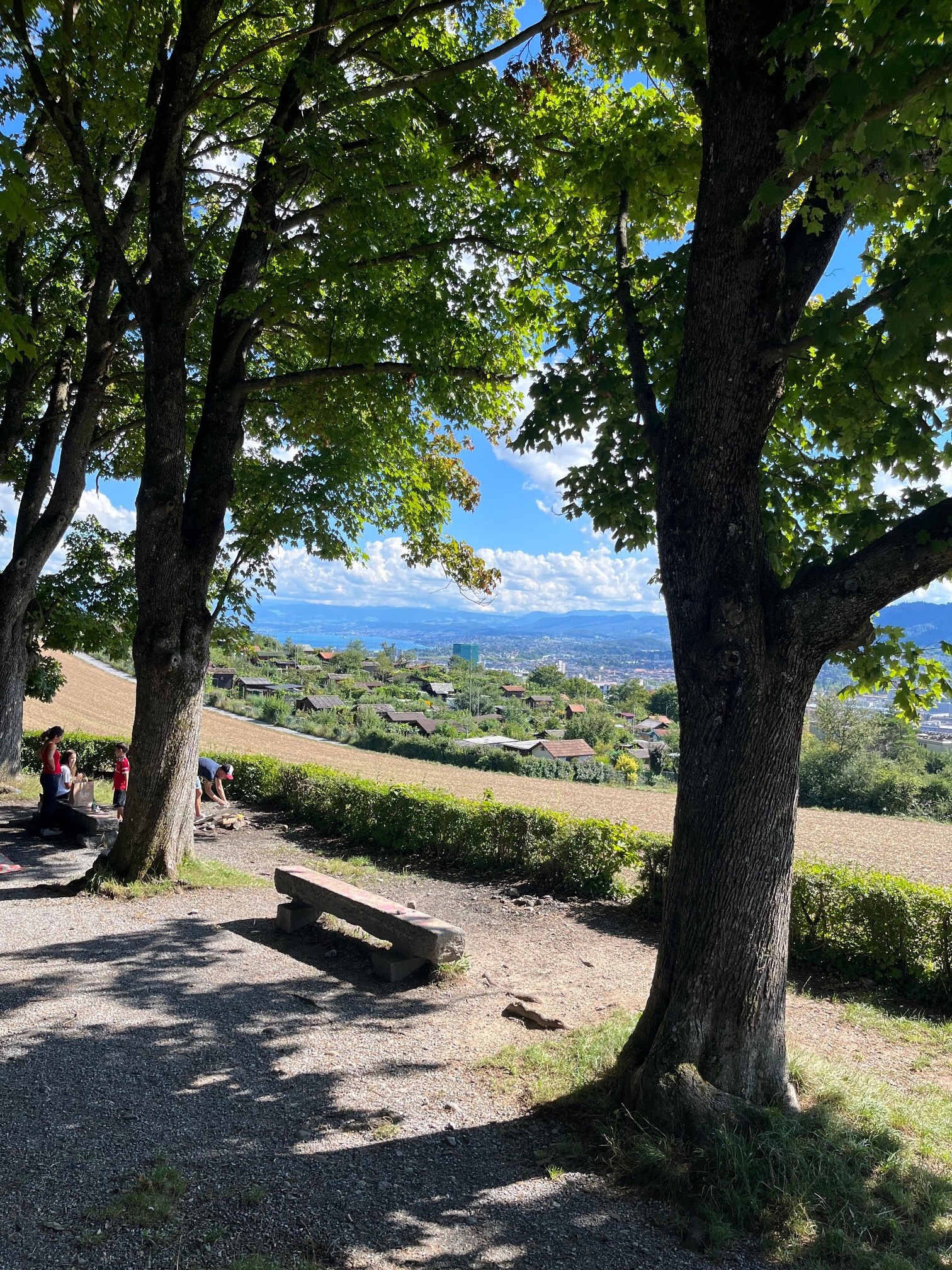 Wanderweg Hönggerberg