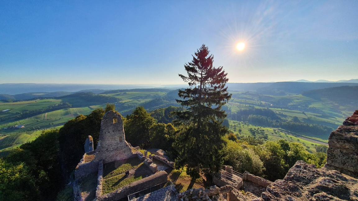 Erkunde die Ruine Farnsburg