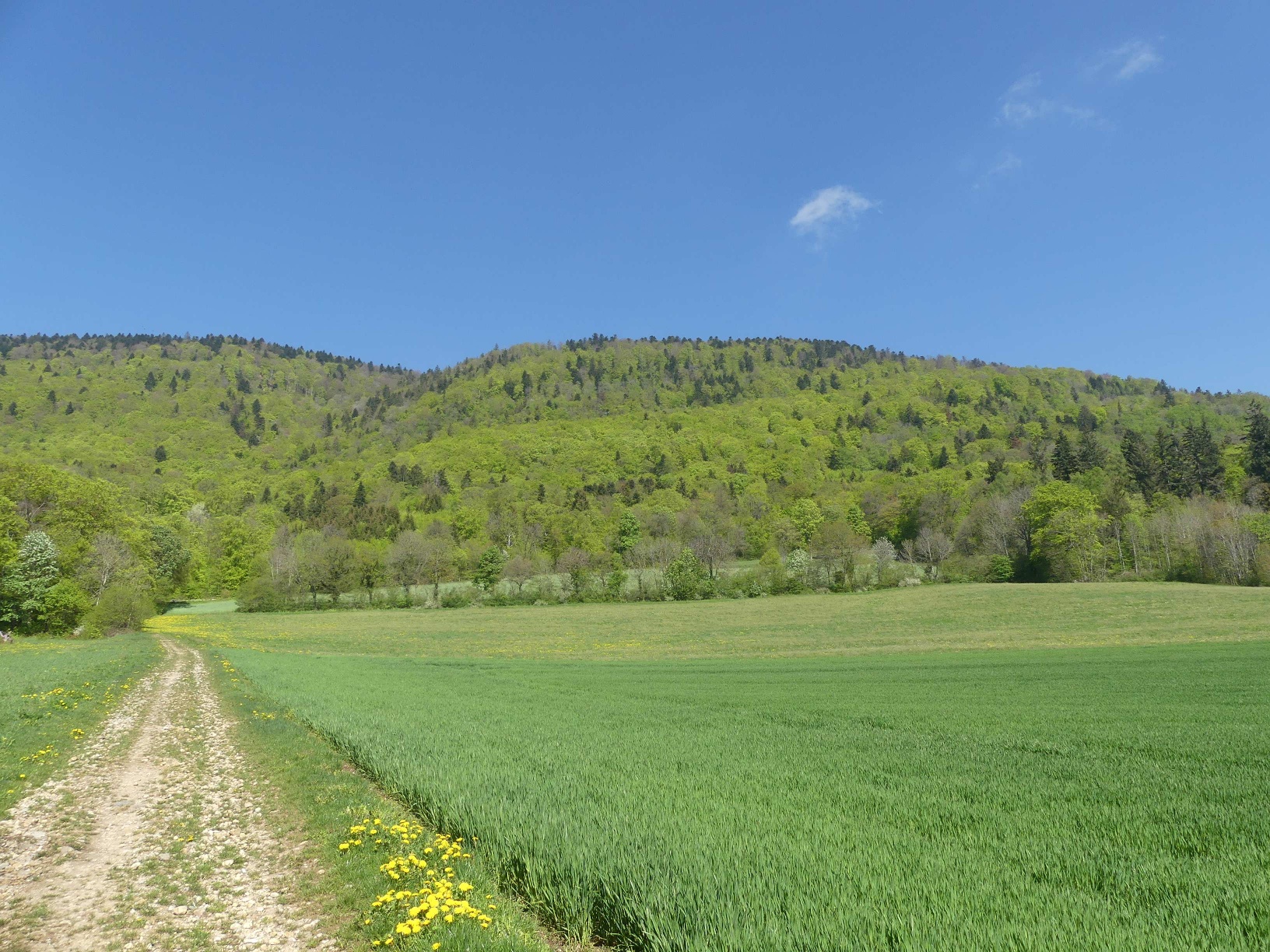 Wanderung von Cressier nach Neuchâtel