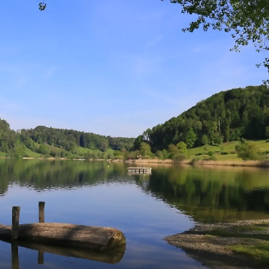 Türlersee Loop Hike