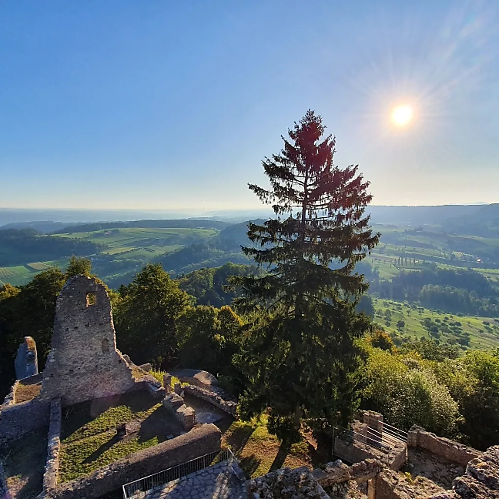 Ruine Farnsburg