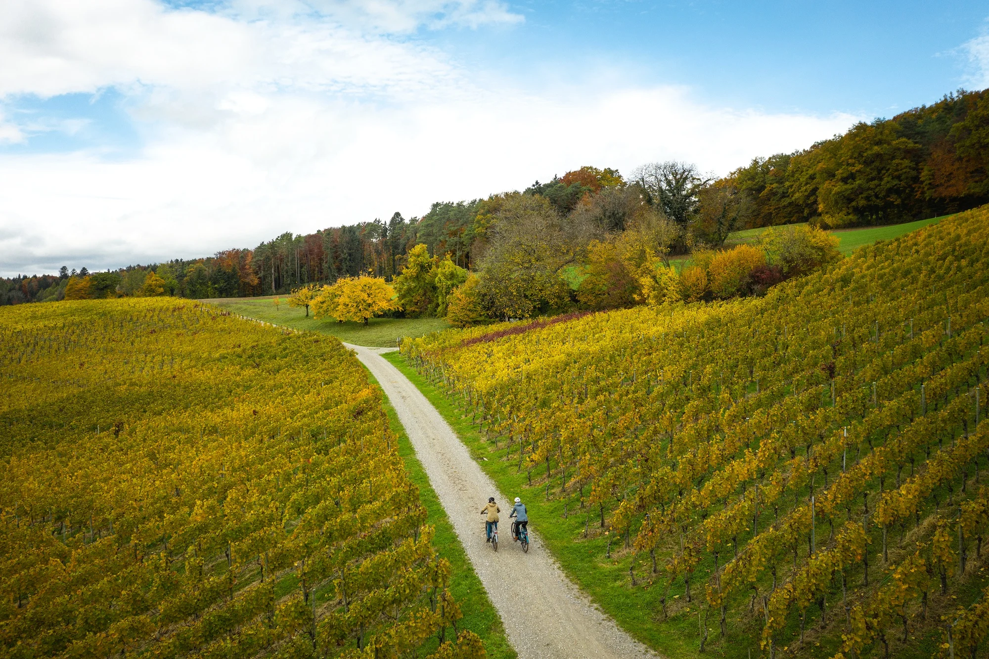 Fahrrad Tour Weinroute