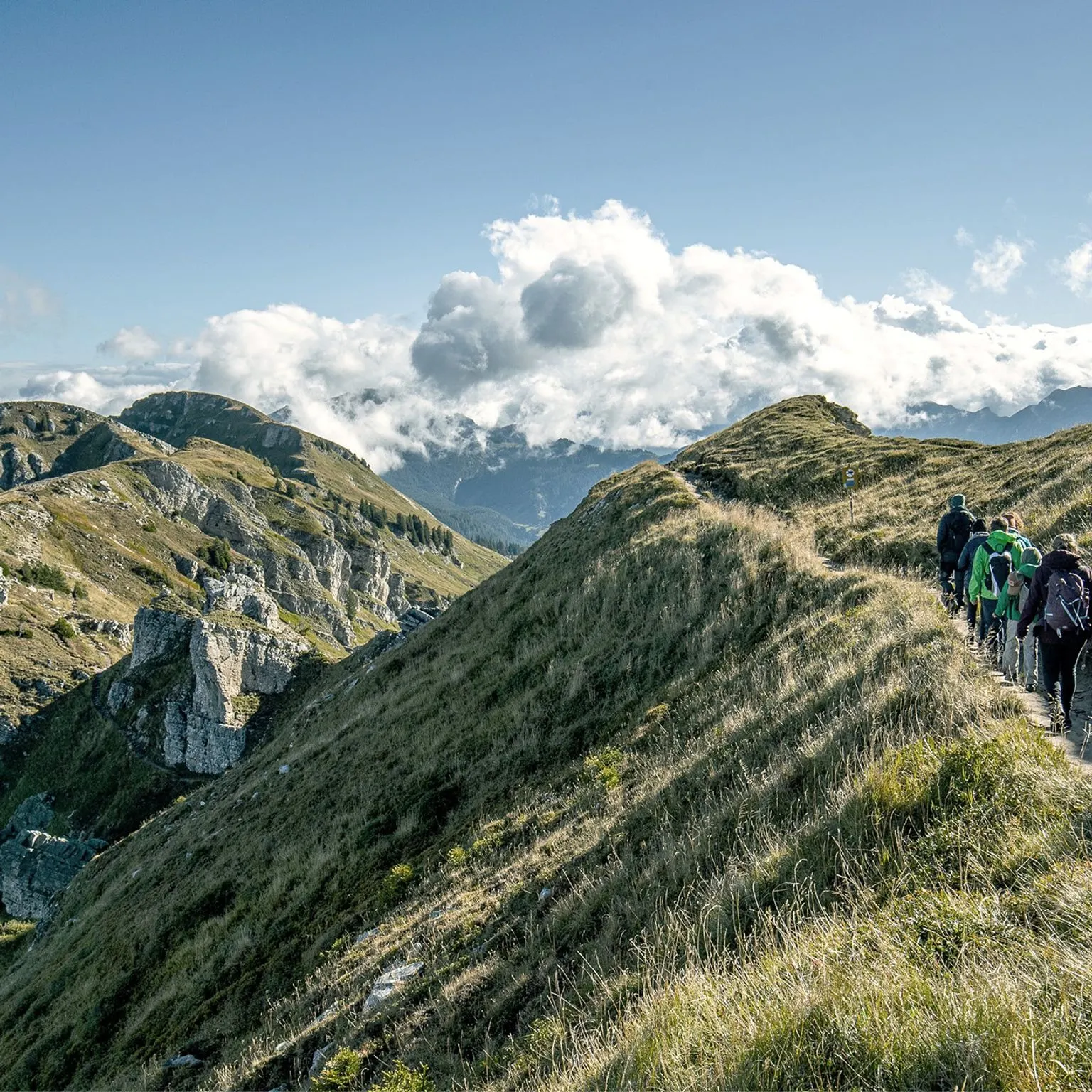 Goldmedaillen-Wanderweg vom Niederhorn zum Gemmenalphorn​