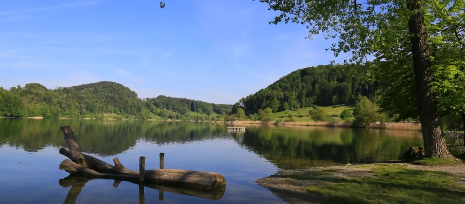 Türlersee Loop Hike