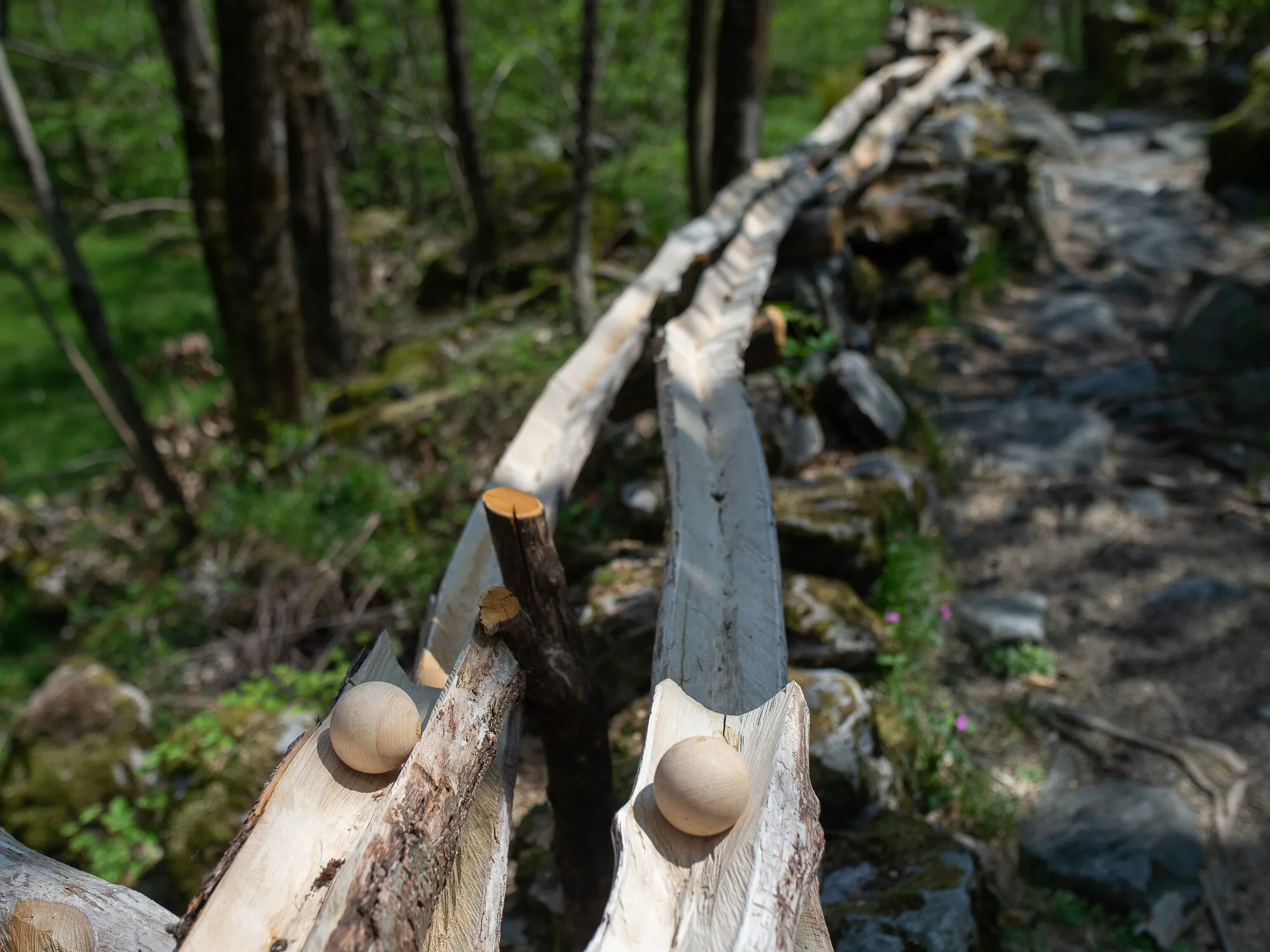 Boccia al bosco
