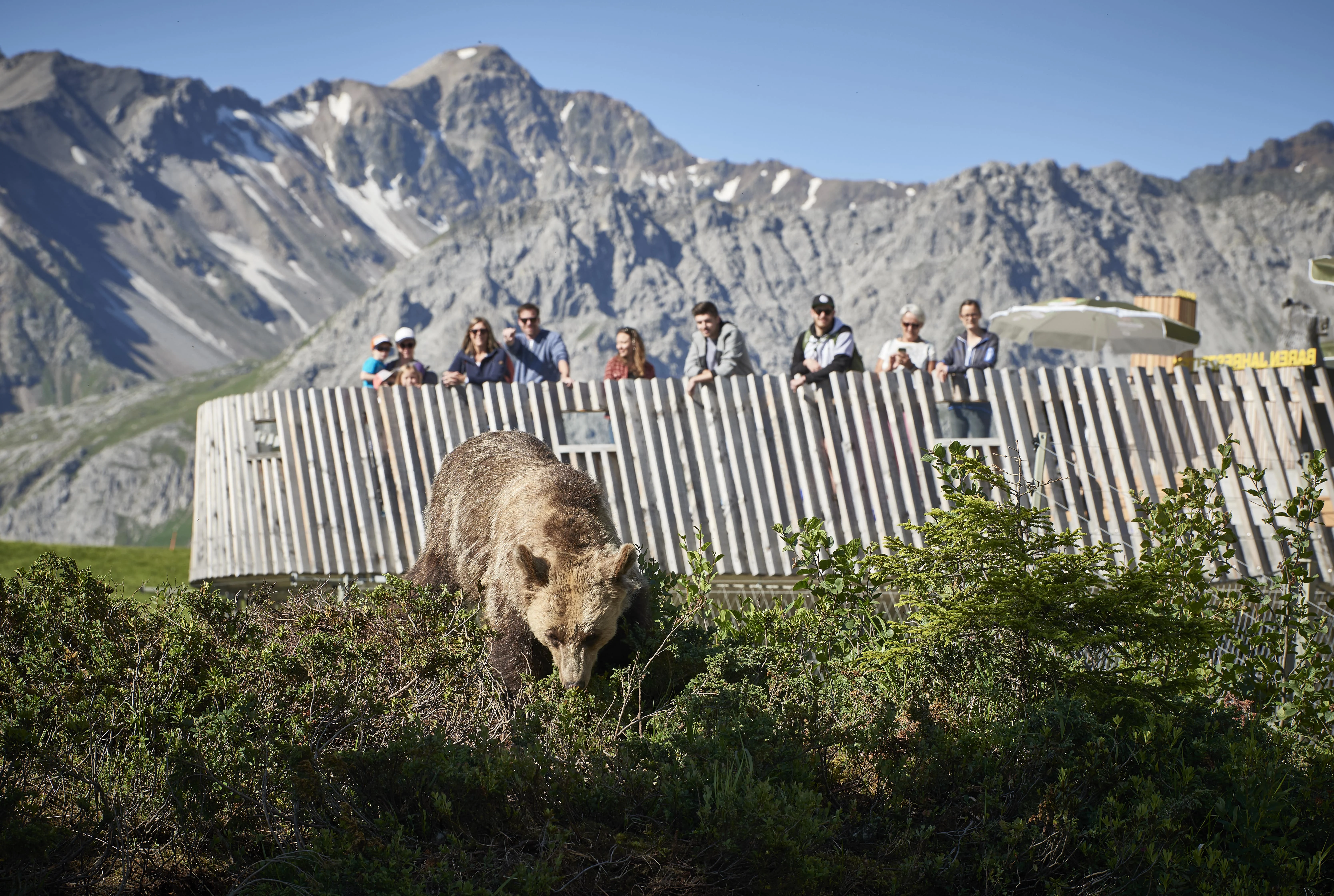 Bärenland Arosa