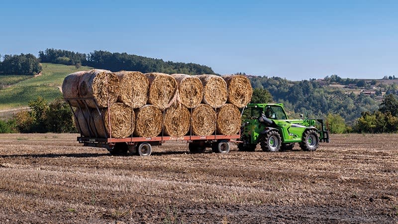 Merlo Medium