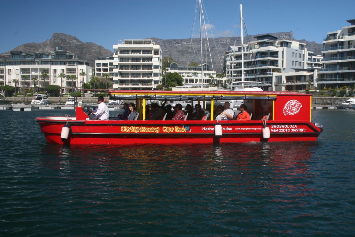 cape town harbour cruises