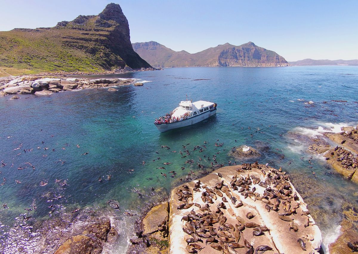 Seal colony cruise