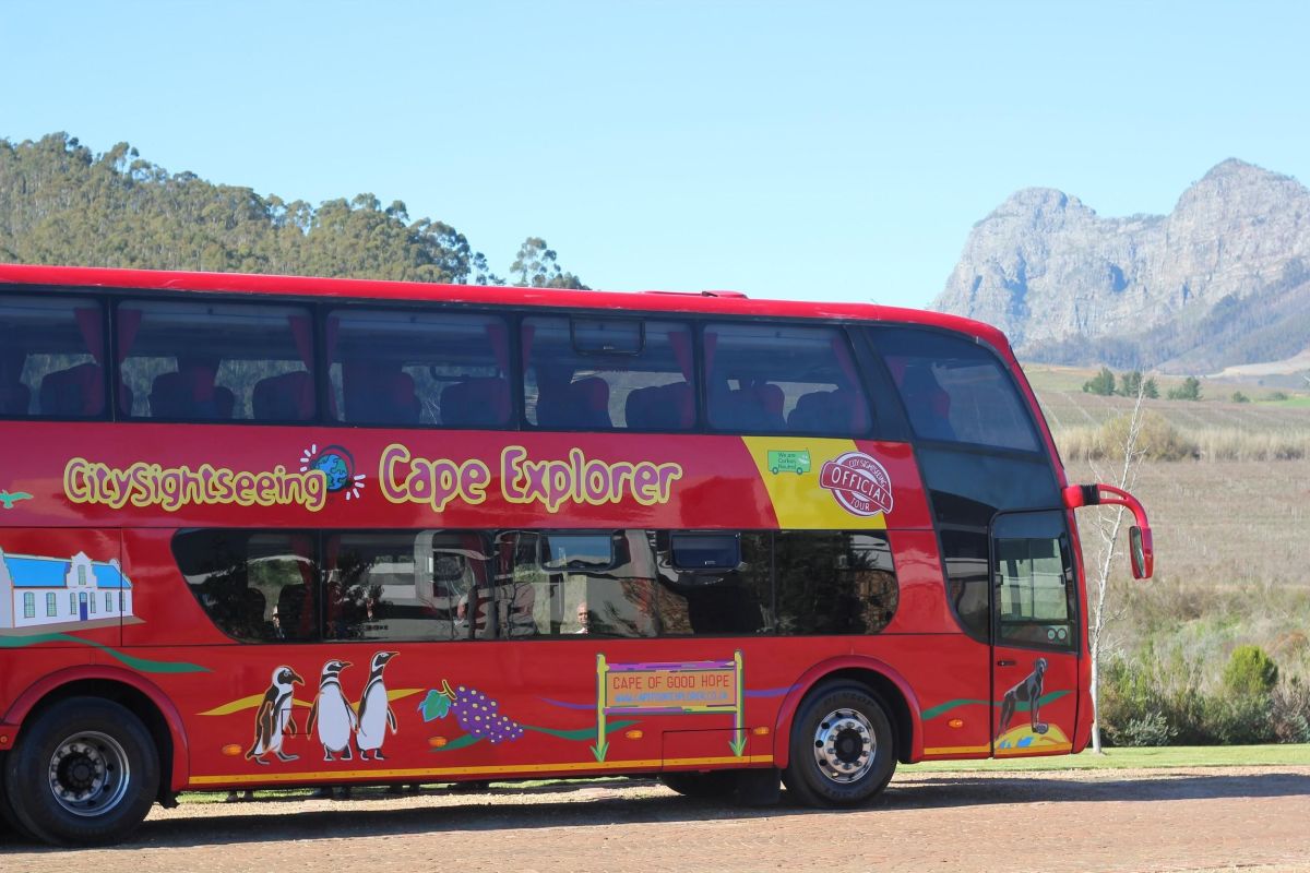 cape town red bus wine tour