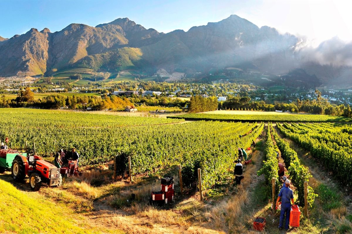 How to spend three days touring wineries around Capetown, South Africa